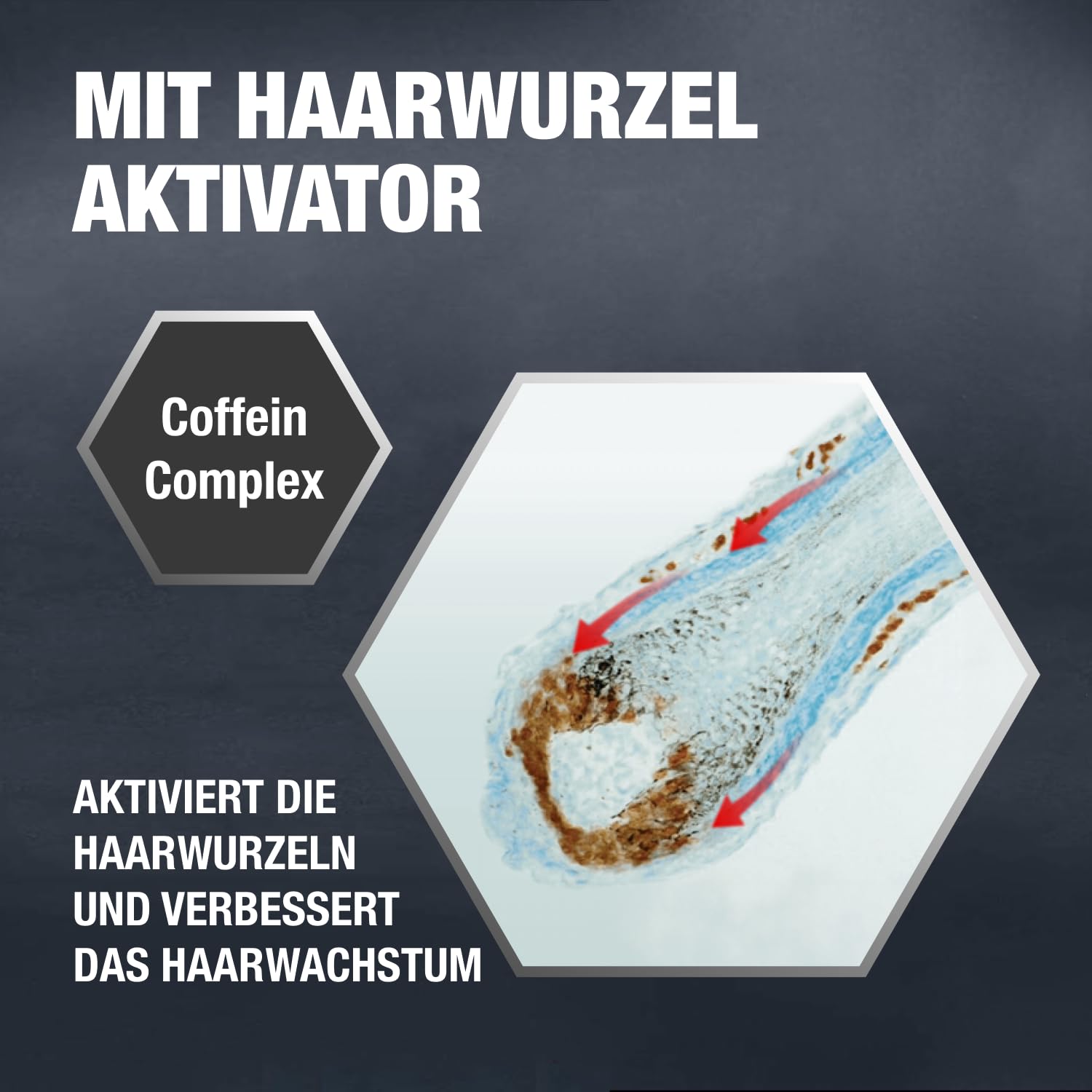 Alpecin Coffein-Shampoo C1-6 x 250 ml - Gegen erblich bedingten Haarausfall | Fühlbar mehr Haar | Stärkt Haarwurzeln und Haarwuchs | Haarpflege für Herren Made in Germany