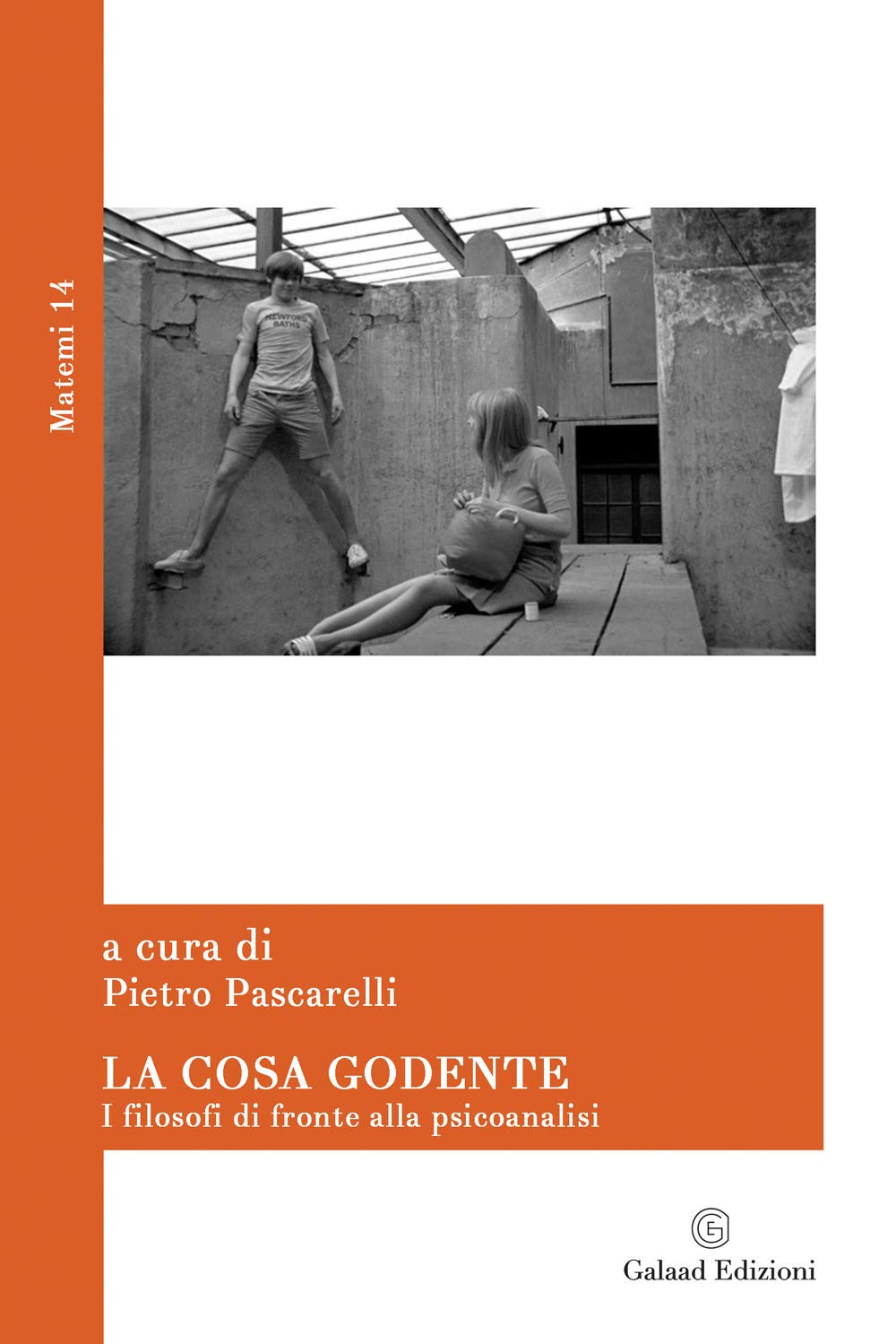 La Cosa Godente. I Filosofi Di Fronte Alla Psicoanalisi - 4