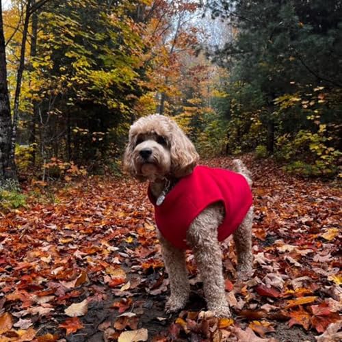Image of JACKO & CO - Fleece Vest Dog Sweater with Leash Ring - Soft, Warm & Lightweight Pullover Coat for Small & Medium Dogs, Puppies & Cats - Cozy Fall /Winter /Spring Pet Jacket (Red, XX-Large 25-35lbs)