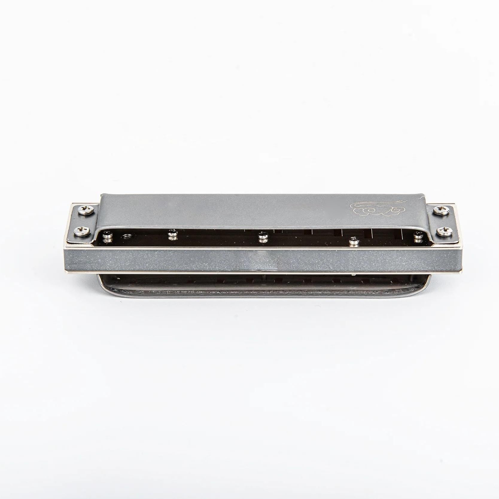 Zestaw Harmonijkowy 10-otworowa Diatoniczna Harmonijka Blues Harp Diatoniczna 10-otworowa Blues Profesjonalna Harmonijka Instrumenty Muzyczne(AB)