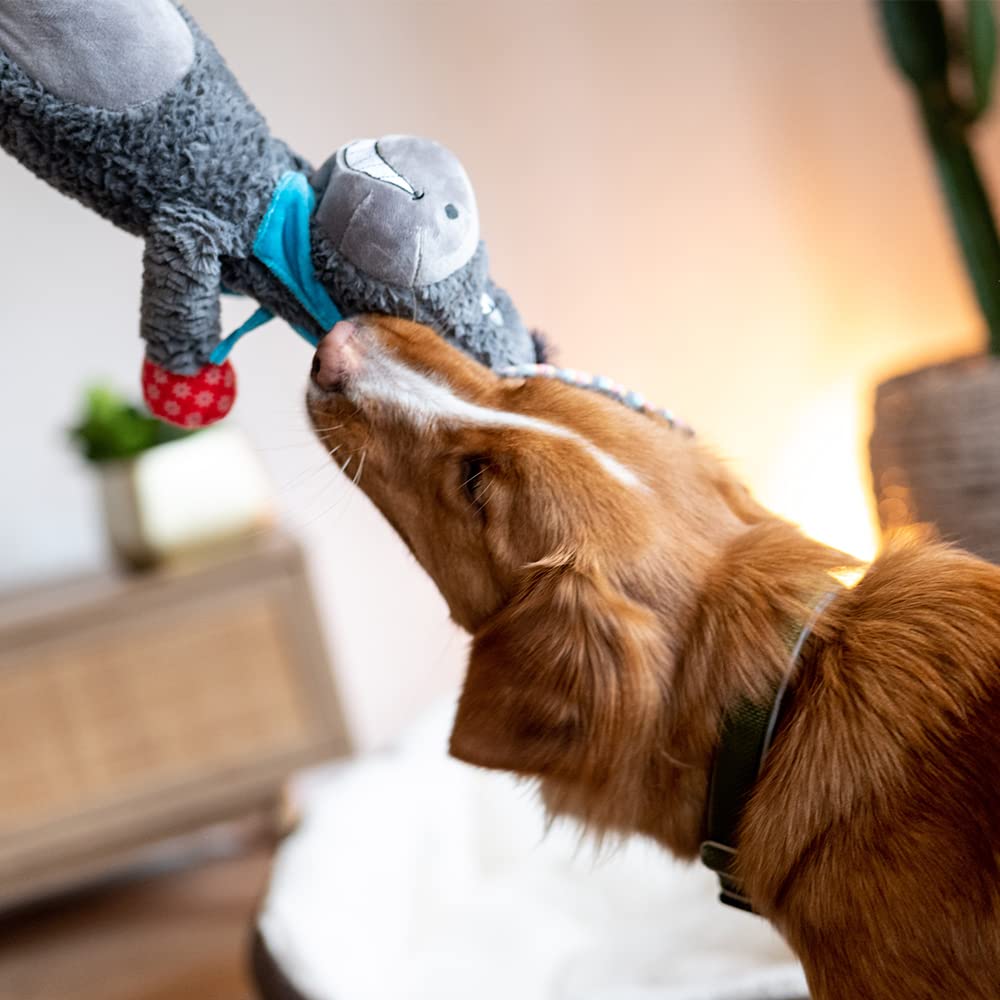 Nobby Peluche Asino per Cani, 56 cm, 1 Pezzo