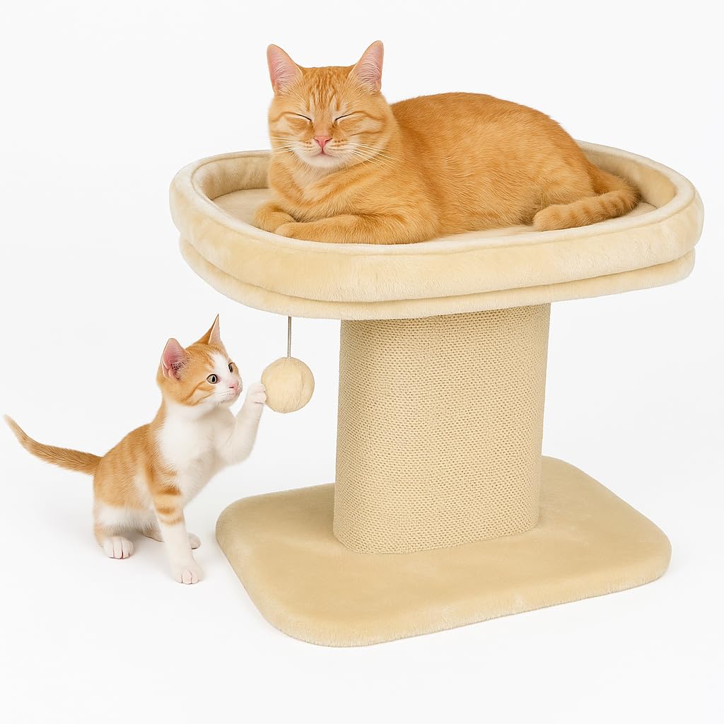 SEDOL 2-Tier Cat Tree Tower – Modern Wooden Cat Climbing Stand with Sleeping Perch, Sisal Scratching Plate & Hanging Ball – Compact Furniture for Indoor Cats to Sleep, Scratch, Play & Relax (Beige)