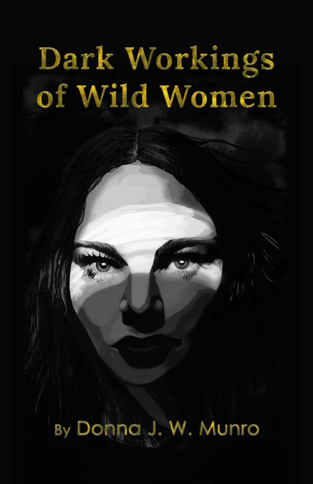 Cover of Dark Workings of Wild Women
