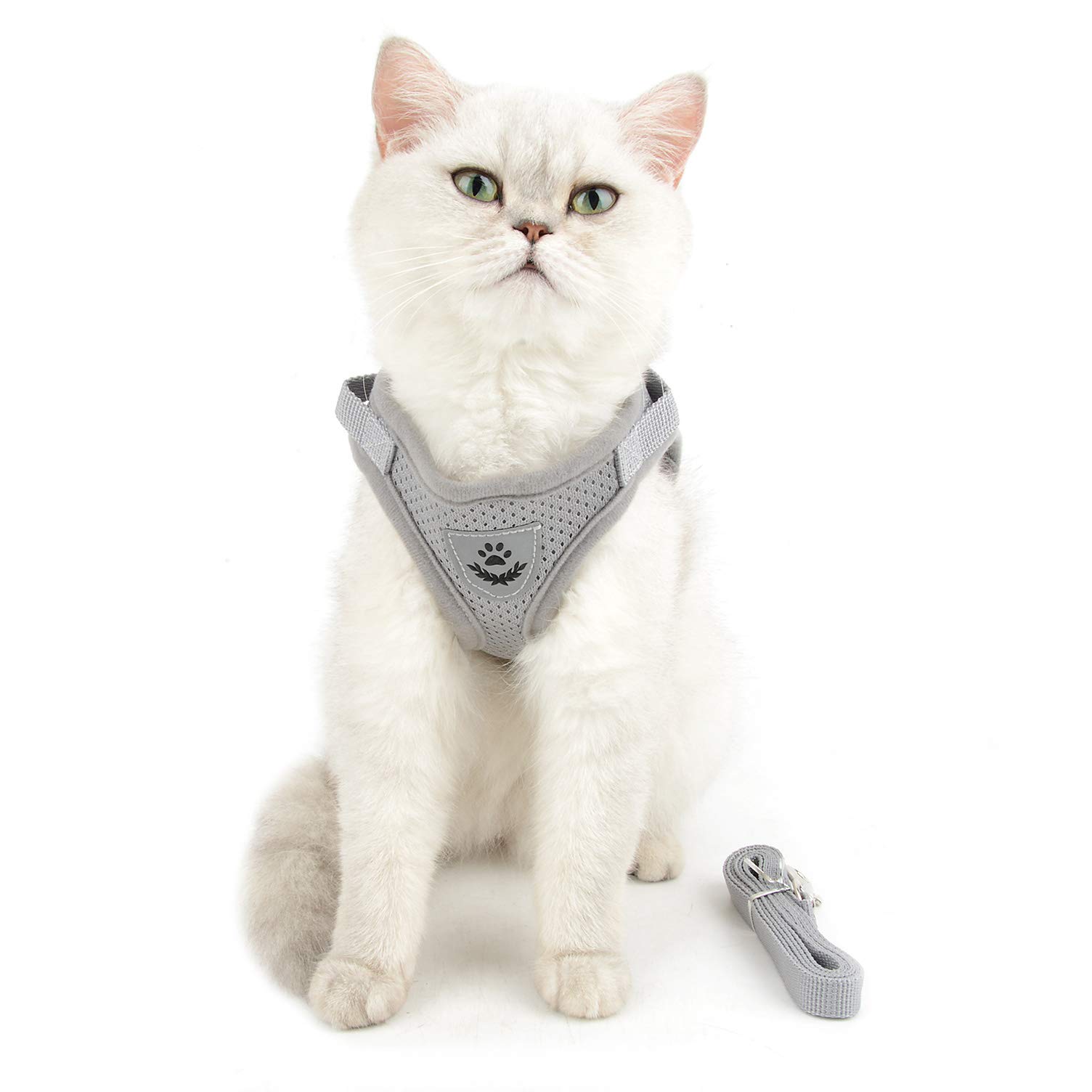 Ranphy Cat Harness and Leash Set Escape Proof Refletive Adjustable Small Dog Step in Harness No Pull No Choke Soft Mesh Padded Walking Jacket Boy Girl Puppy Kitty Kitten Training Vest Harness Gray L
