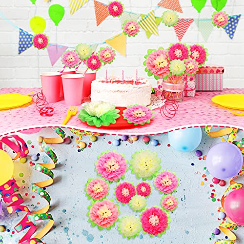 Willbond 18 Pcs Large Mexican Paper Flowers Hispanic Heritage Month Colorful Fiesta Tissue Paper Flowers Pom Flower Backdrop For Floral Party Classroom Hispanic Heritage Month Craft thumb #5