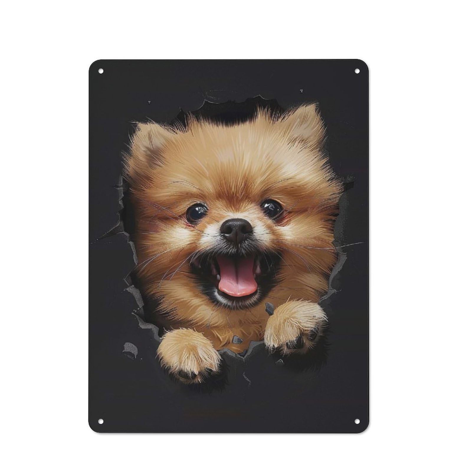 Junmoney Style-4 Tin Wall Plaque 40X30cm With Pomeranian(2) For Guest Room Or Hallway, For Updating Guest Room And Hallway After Moving