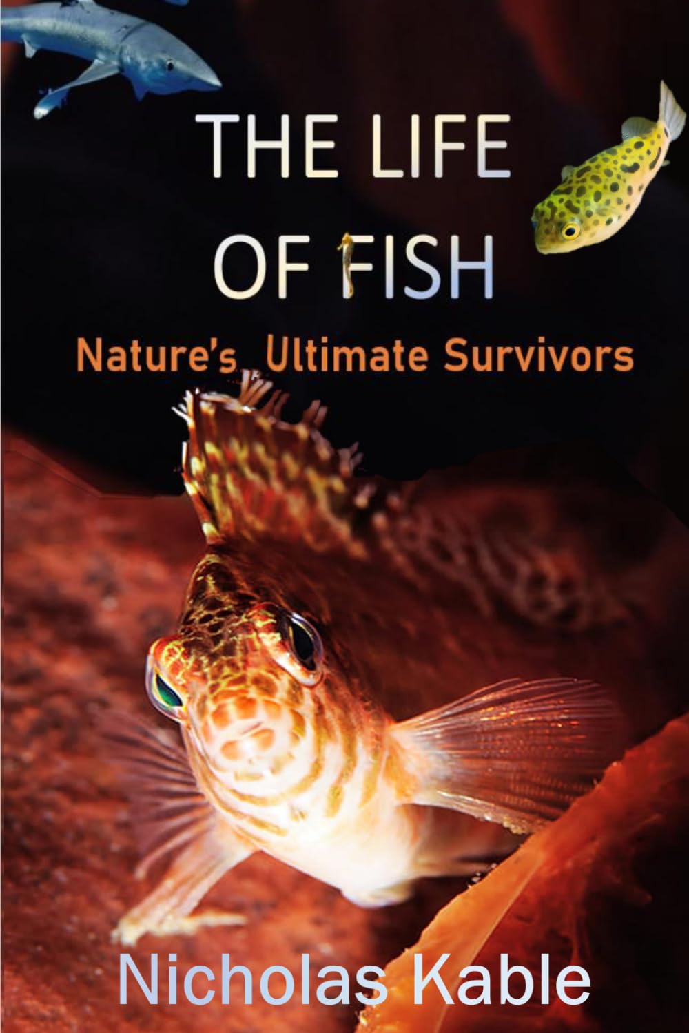 The Life of Fish: Nature's Ultimate Survivors- FULL COLOUR EDITION