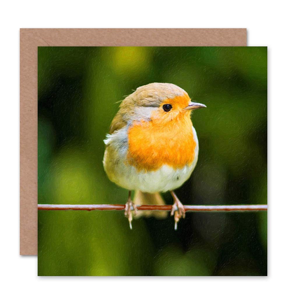 Wee Blue Coo Card Christmas Xmas Merry Red Breast Robin
