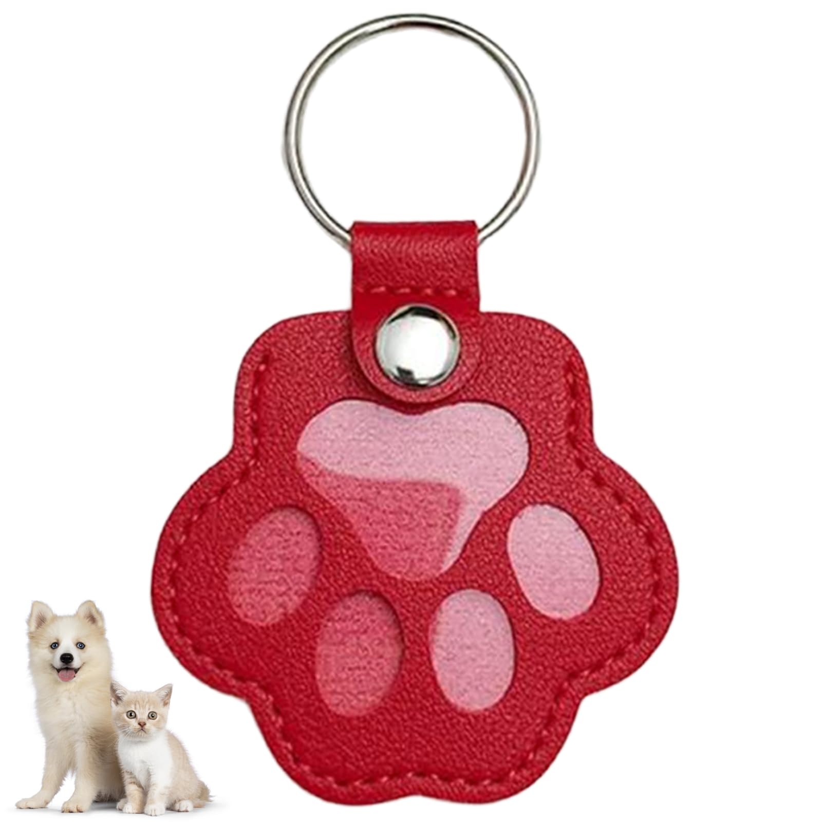 Cat Dog Hair Storage Keychain, Pet Hair Keychain, Fur Keepsake Keyring