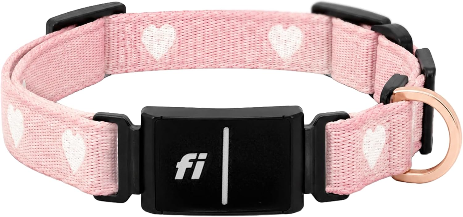 DOGISTRY - Fi Sweetheart Collar - GPS Dog Collar Band - Large