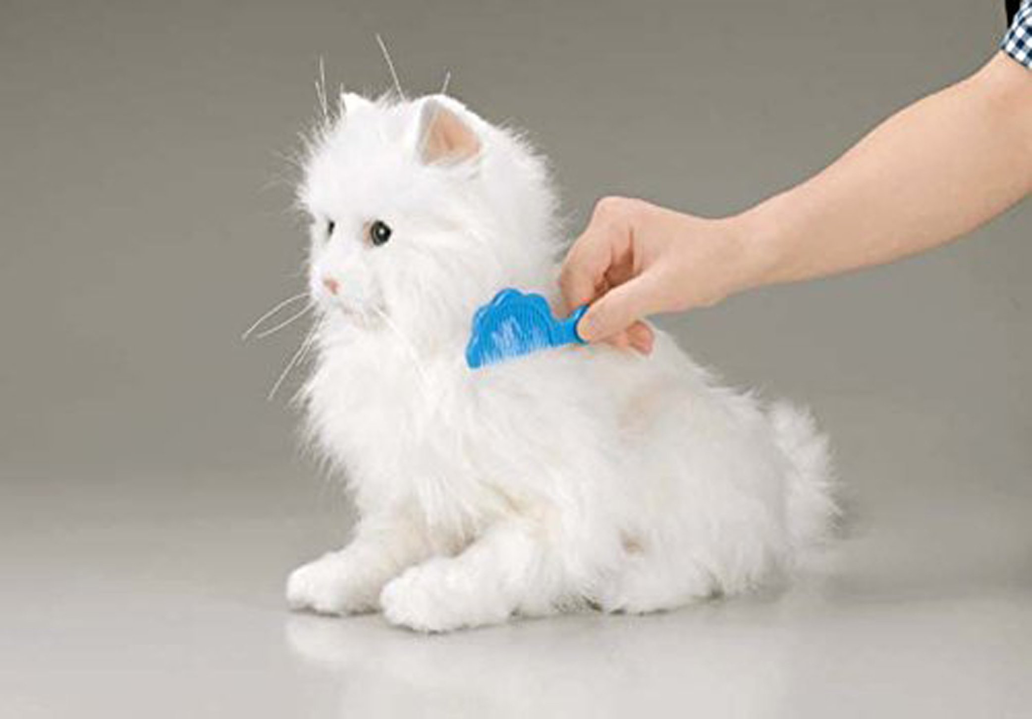 Amazon.co.jp: 夢ねこセレブ : おもちゃ 