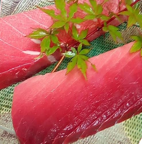 104005 本鮪 大トロ180g中トロ200g