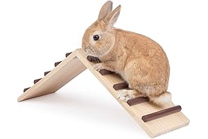 Niteangel Wooden Cage Bridge: Bunny Heaven!
