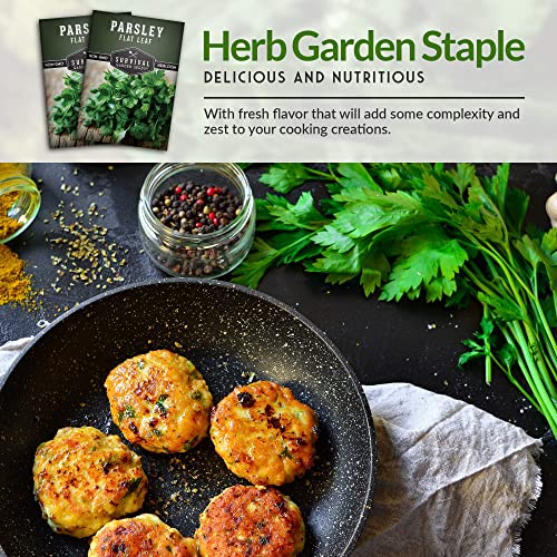 Italian Flat Leaf Parsley Seeds for Planting – Heirloom Non-GMO Variety, Classic Kitchen Herb for Cooking Indoors or Outdoors – Survival Garden Seeds (1 Pack) - Image 4