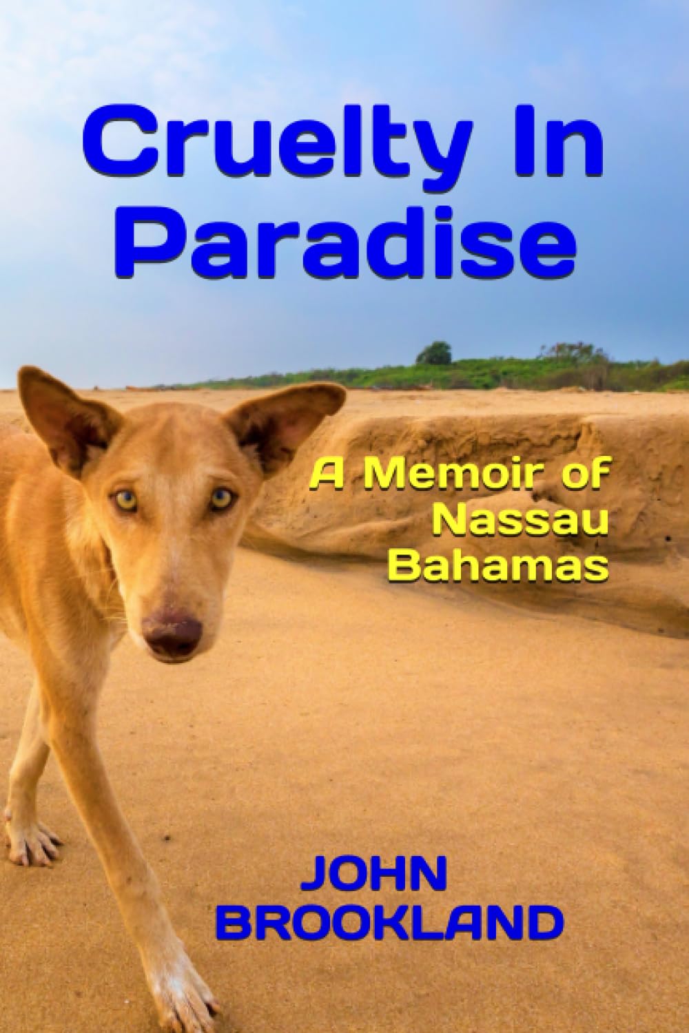 Cruelty In Paradise: A Memoir of Nassau Bahamas