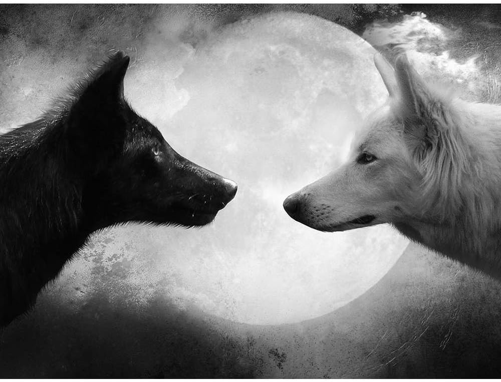 Black Wolf and White Wolf - Wildlife Animal Art Print Poster Wall Decor Home Decor(32x24inches)