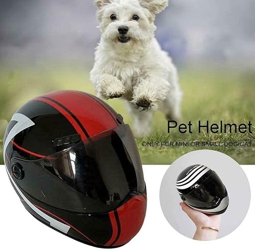 Miniatura 5 de Mini casco de motocicleta para mascotas, 6.3 x 4.7 x 4.7 in, gato, perro, cachorro, mini-cascos para perritos, motocicletas, casco para mascotas,