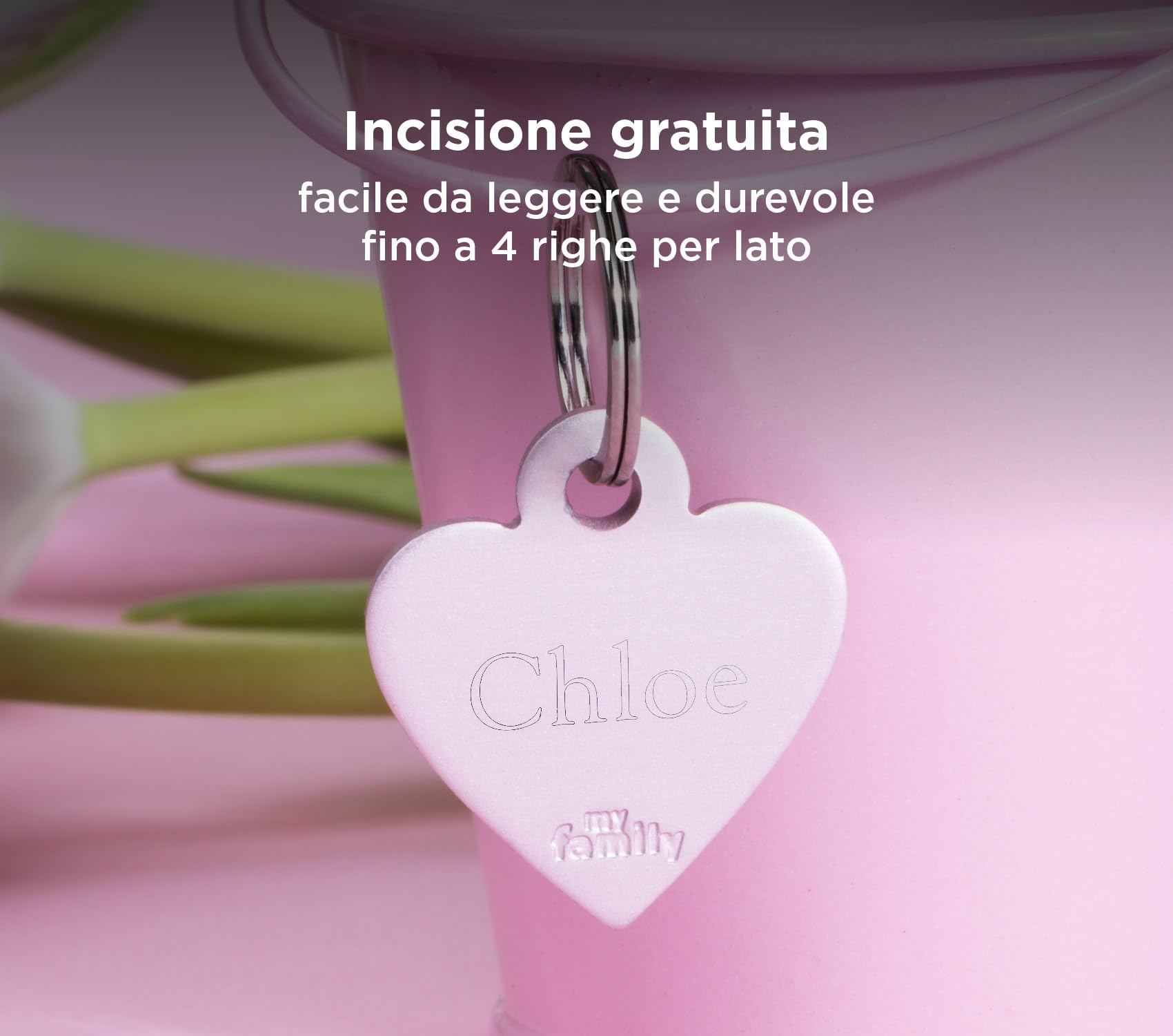 MyFamily Personalized Pet ID Tag Made in Italy, Purple XL Bone, Free Engraving, Aluminum, Basic Collection, 48x31 mm