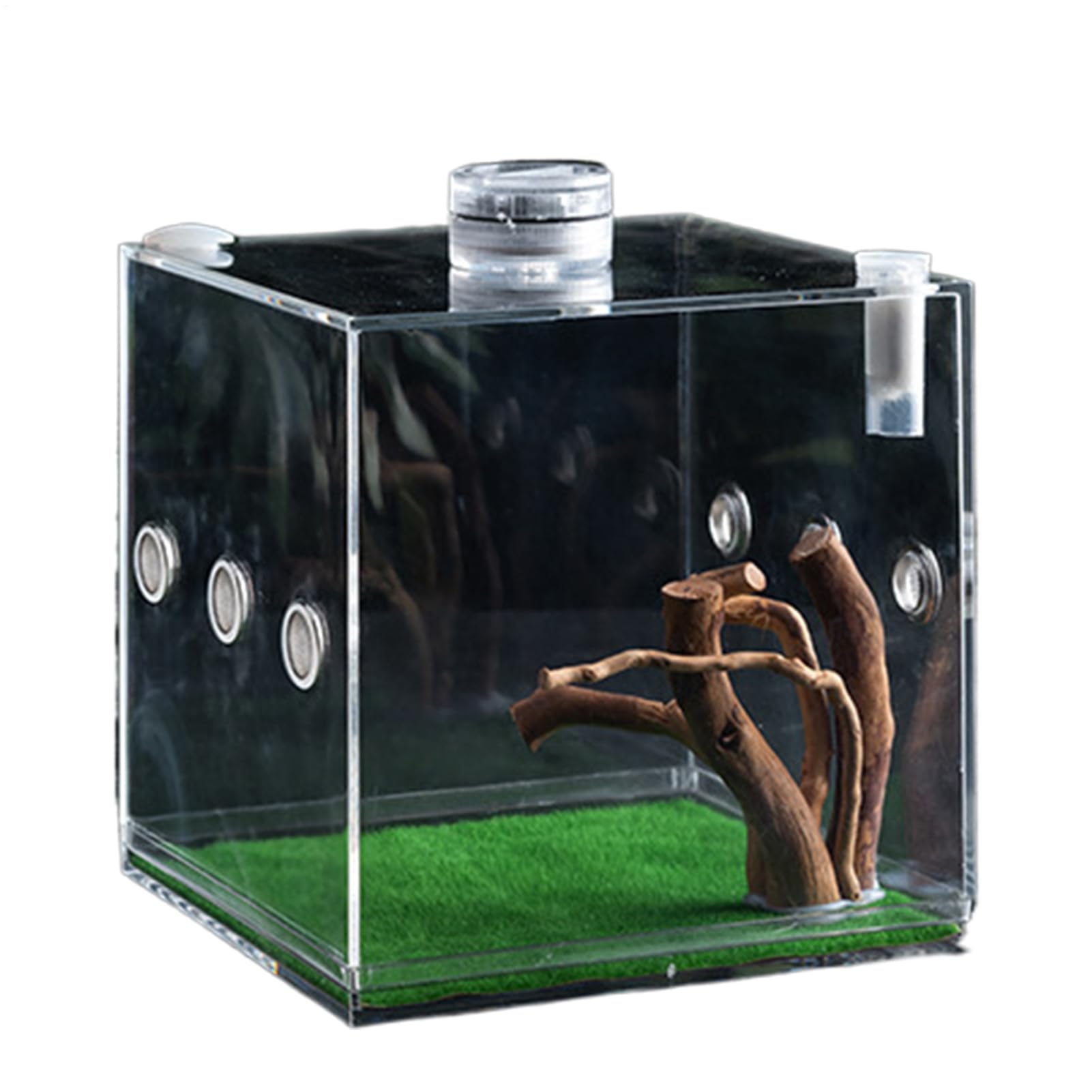 Small Pet Enclosure, Acrylic Reptile Growth Enclosure, Clearer View Small Pet Container for Snails, Lizards, Beetles, and Turtles
