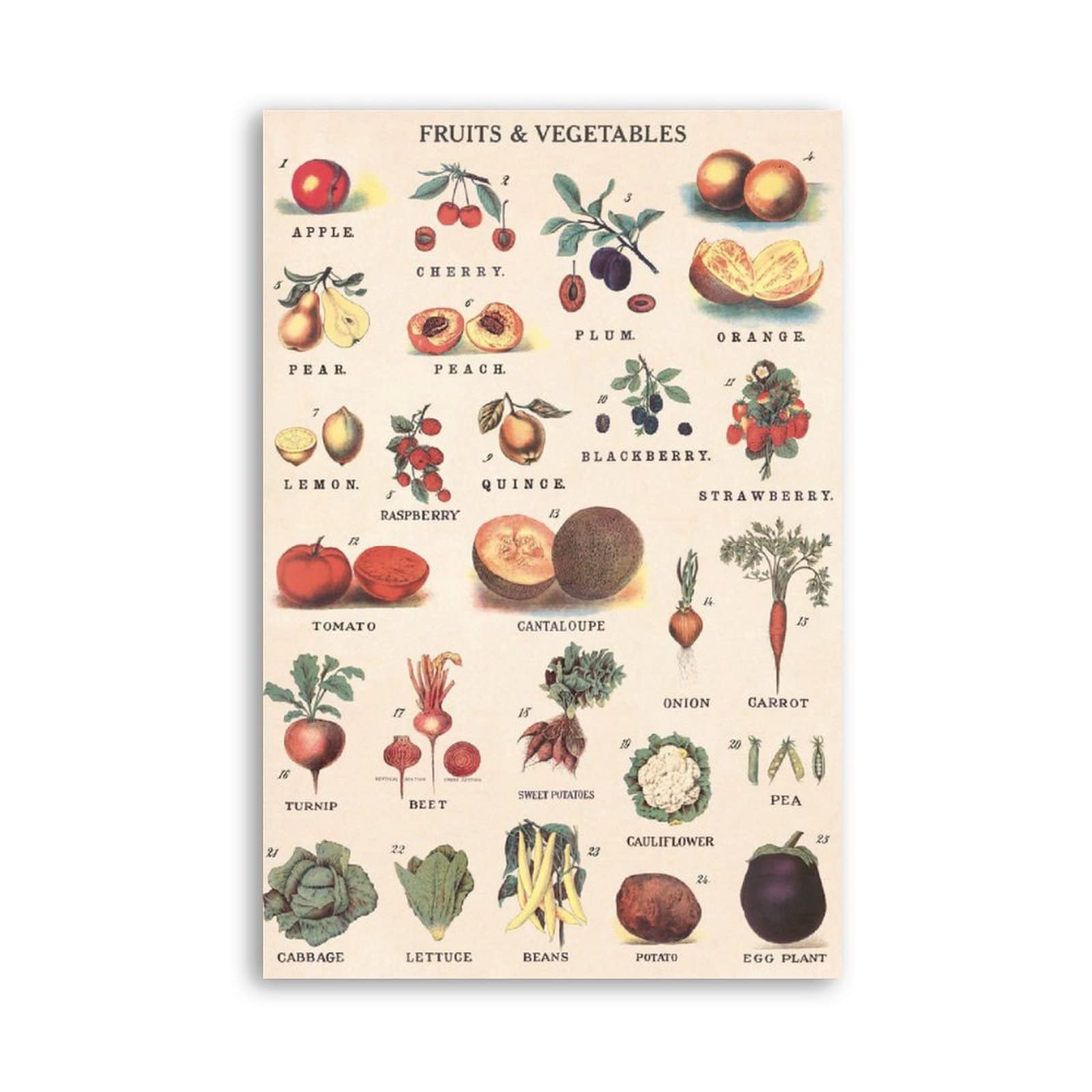 FJQWKLF Types Of Fruits & Vegetables Metal Tin Signs Retro Farmhouse Shop Wall Decor Toddler Education Posters Nursery Kindergarten Home Room Learning Plaque Sign 12x16 Inches