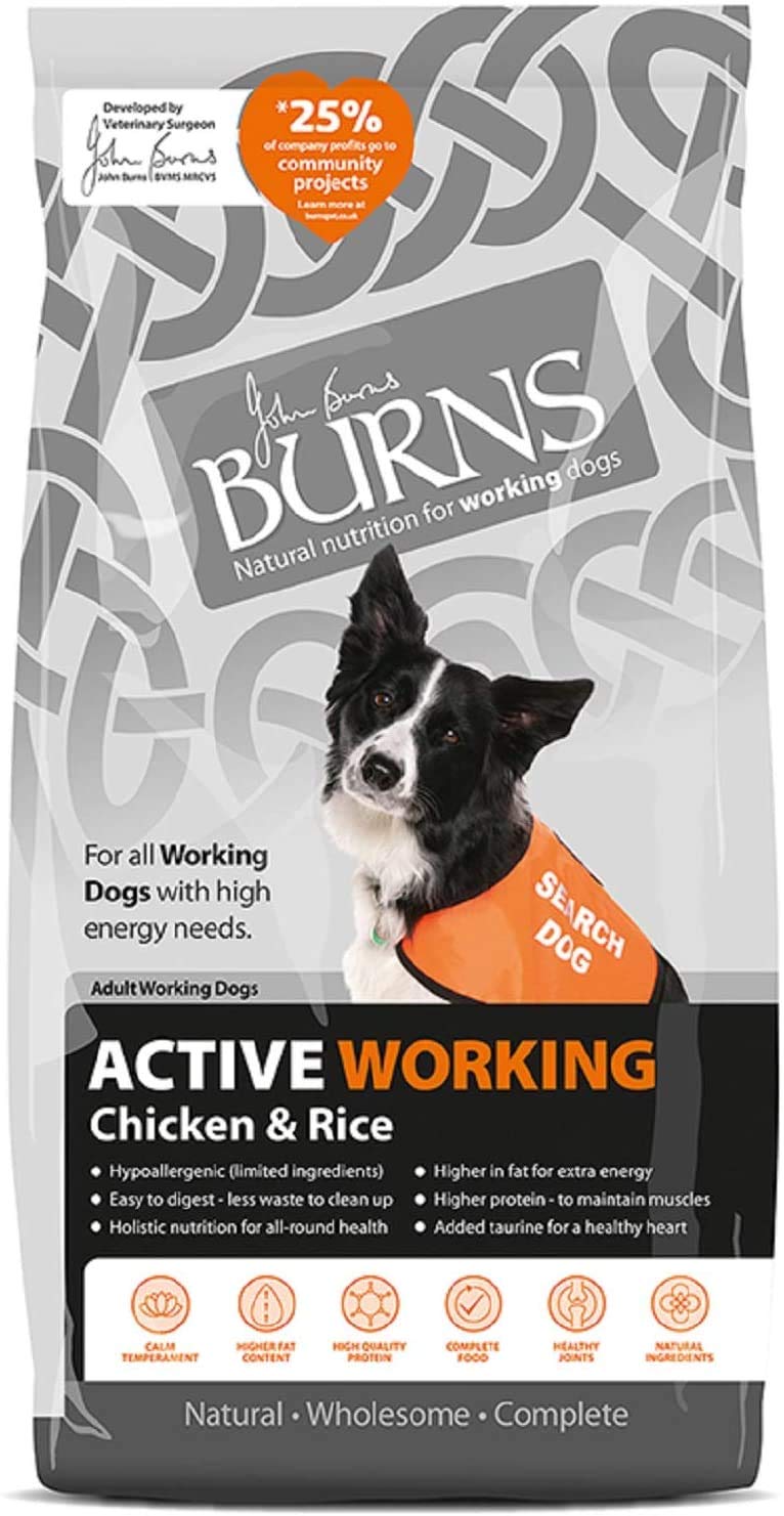 Burns Pet Nutrition 2 x Active Complete Dry Dog Food Chicken and Rice, 12 kg