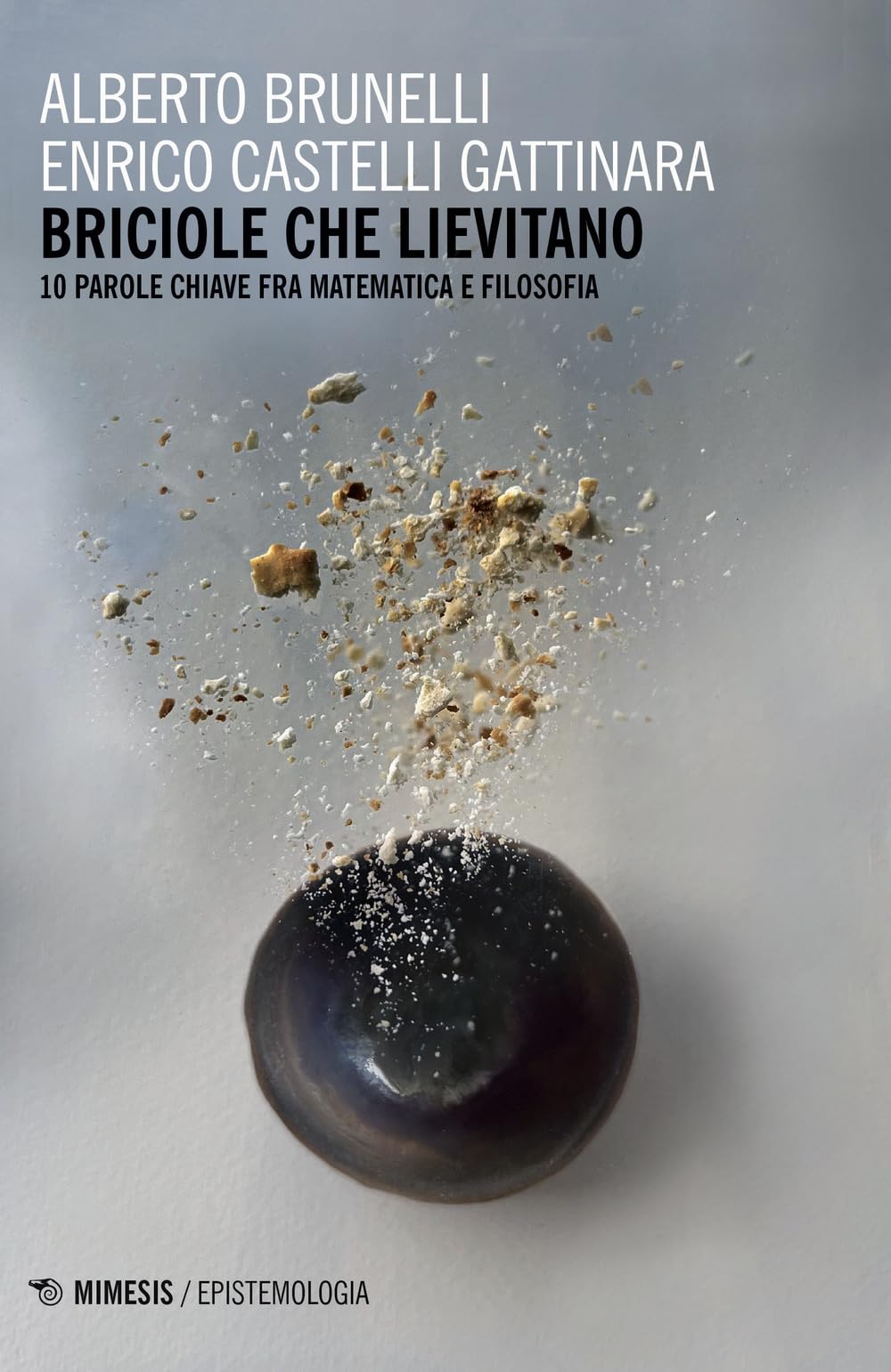 Briciole Che Lievitano. Le Parole Chiave Fra Matematica E Filosofia - 4