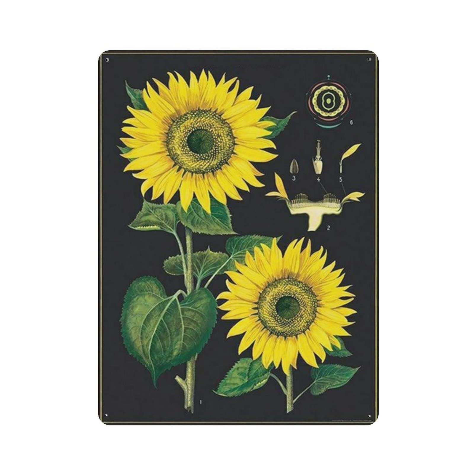 AOOEDM Sunflower Vintage Metal Tin Sign for Home Coffee Shop Office Wall Art Metal Poster Garage Decor Man Cave Sign Inspirational Quote Wall Decor