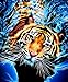 Reofrey 5D Diamond Painting Animal tigre, Pintura Diamante Bricolaje Completo Taladro Arte, Punto de Cruz Diamantes Bordado Pegatinas de Pared Decoración de La sala (30x40cm)
