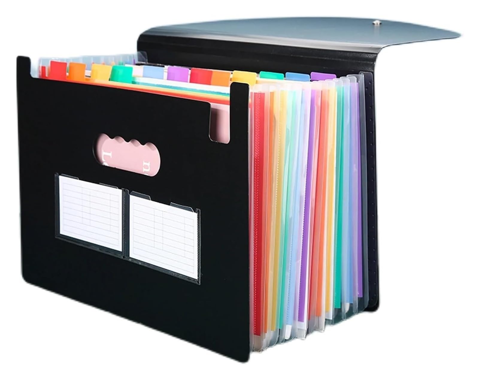 Organizador de documentos expandible