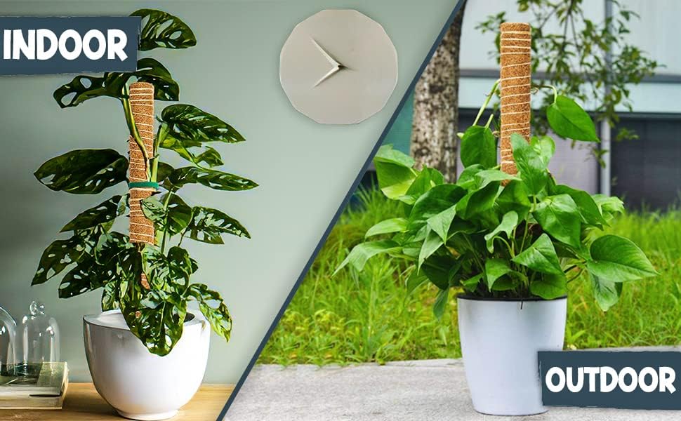 Miniatura 8 de Poste de musgo para plantas Monstera  4 postes de musgo de 17 pulgadas para plantas trepadoras  Poste para plantas de interior con 2 goteros y