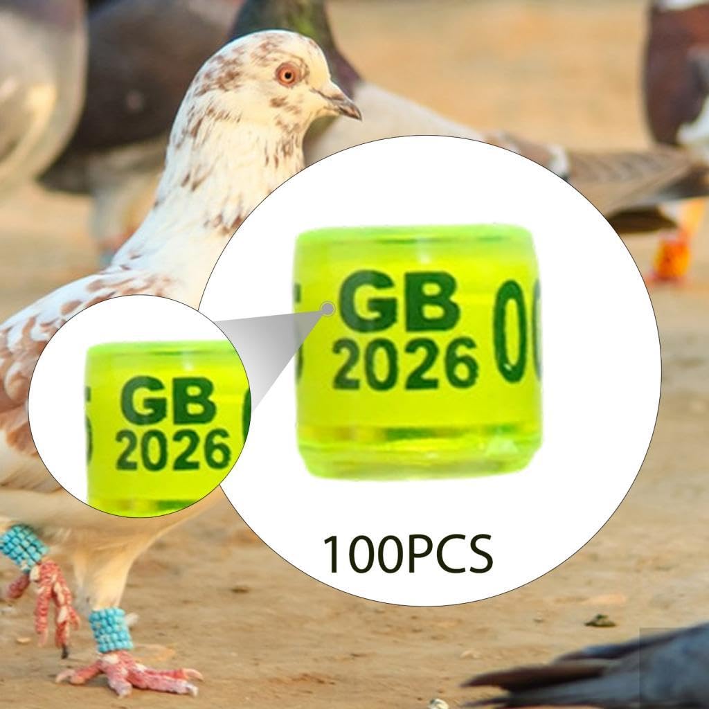 KESOTO 100 Pezzi Anelli per Zampe di 2026 Anelli identificativi per Zampe di Colomba per fringuelli Bantam e, Giallo Chiaro Regno Unito