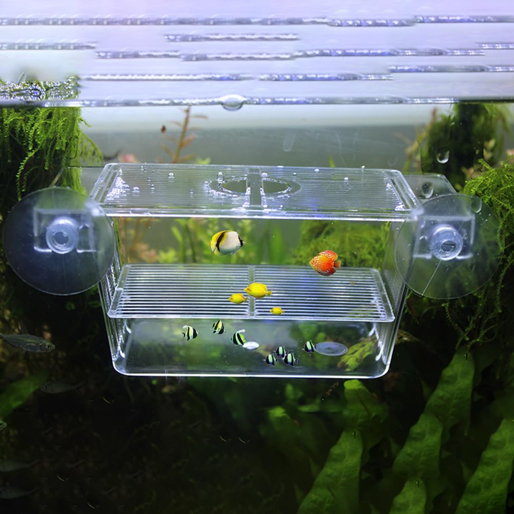 Fioriera in acrilico trasparente per acquario, per Guppy e Tropical Fish, grande, galleggiante, 17,3 x 10 x 10 cm
