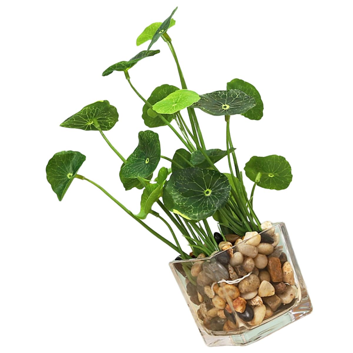 SEWACC Petite Plante Artificielle Bonsaï en Pot, Vert, Céramique | Ornement de Simulation, Salon et Bureau, sans Arrosage ni Entretien, Usage Quotidien