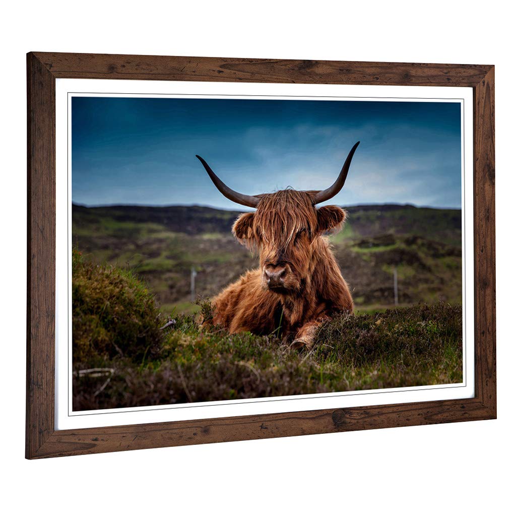 Big Box Art Framed Print of Cow in The Meadow (1) Design | Wall Art Picture | Home Decor for Kitchen, Living, Dining Room, Lounge, Bedroom, Hallway, Office, Walnut, A2 / 24.5x18 Inch / 62x45cm