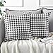 Artscope Set da 2 Federe per Cuscini Decorativi, Morbide Copricuscini Scozzesi in Bianco e Nero per Divano Camera da Letto Auto Soggiorno 50x50cm