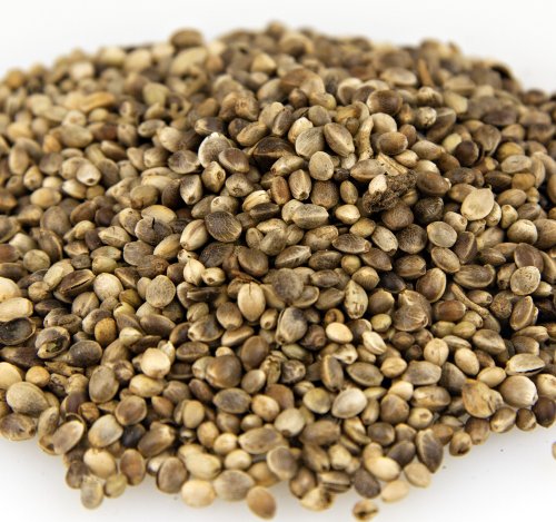 Hemp Seeds - 1 Pound Bag Yankee Traders Net Brand