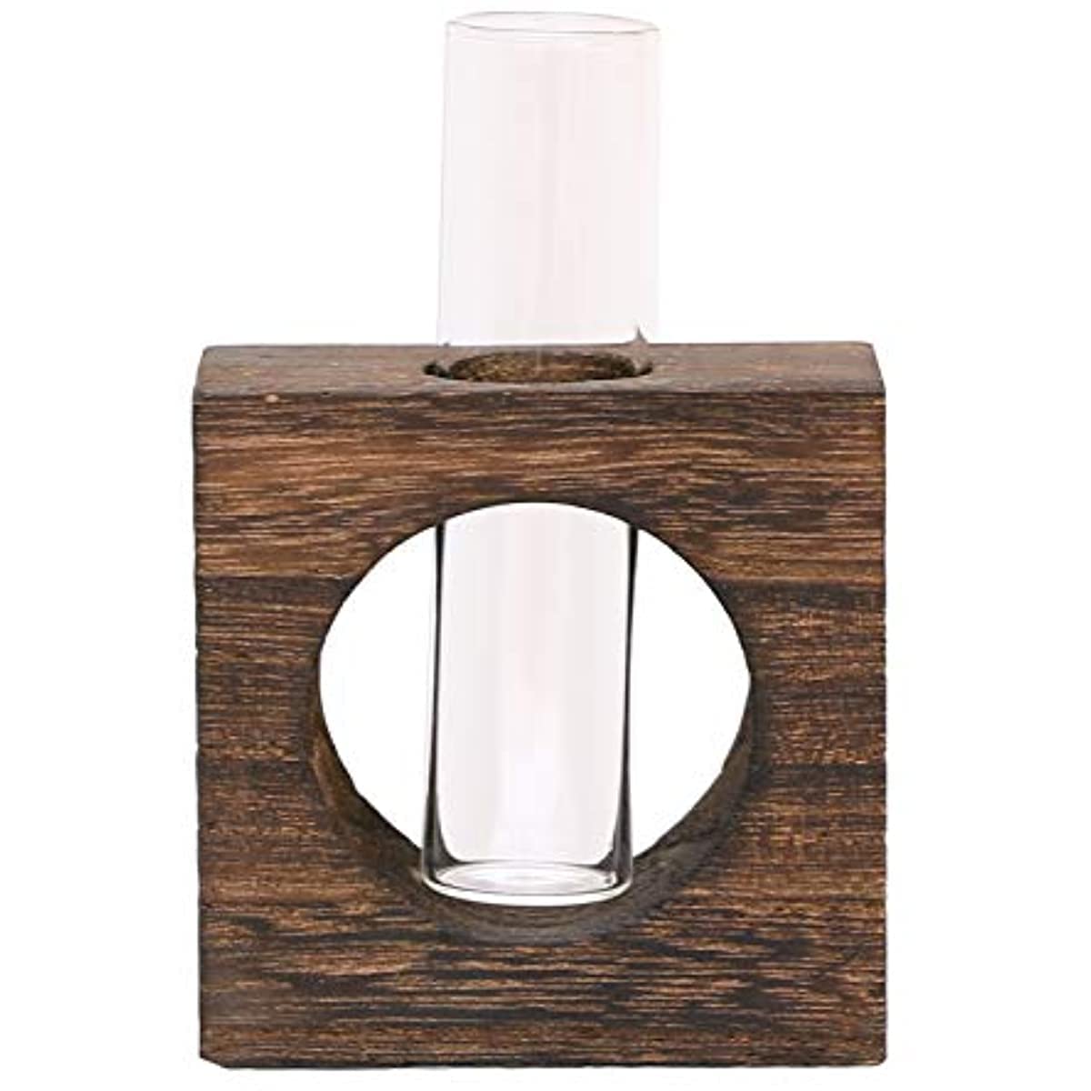 KWQBHW Vase Tube à Essai Avec Support En Bois, 1 Pot De Fleurs En Verre Transparent, Vase En Verre Pour Plantes De Bureau, Décoration D'intérieur