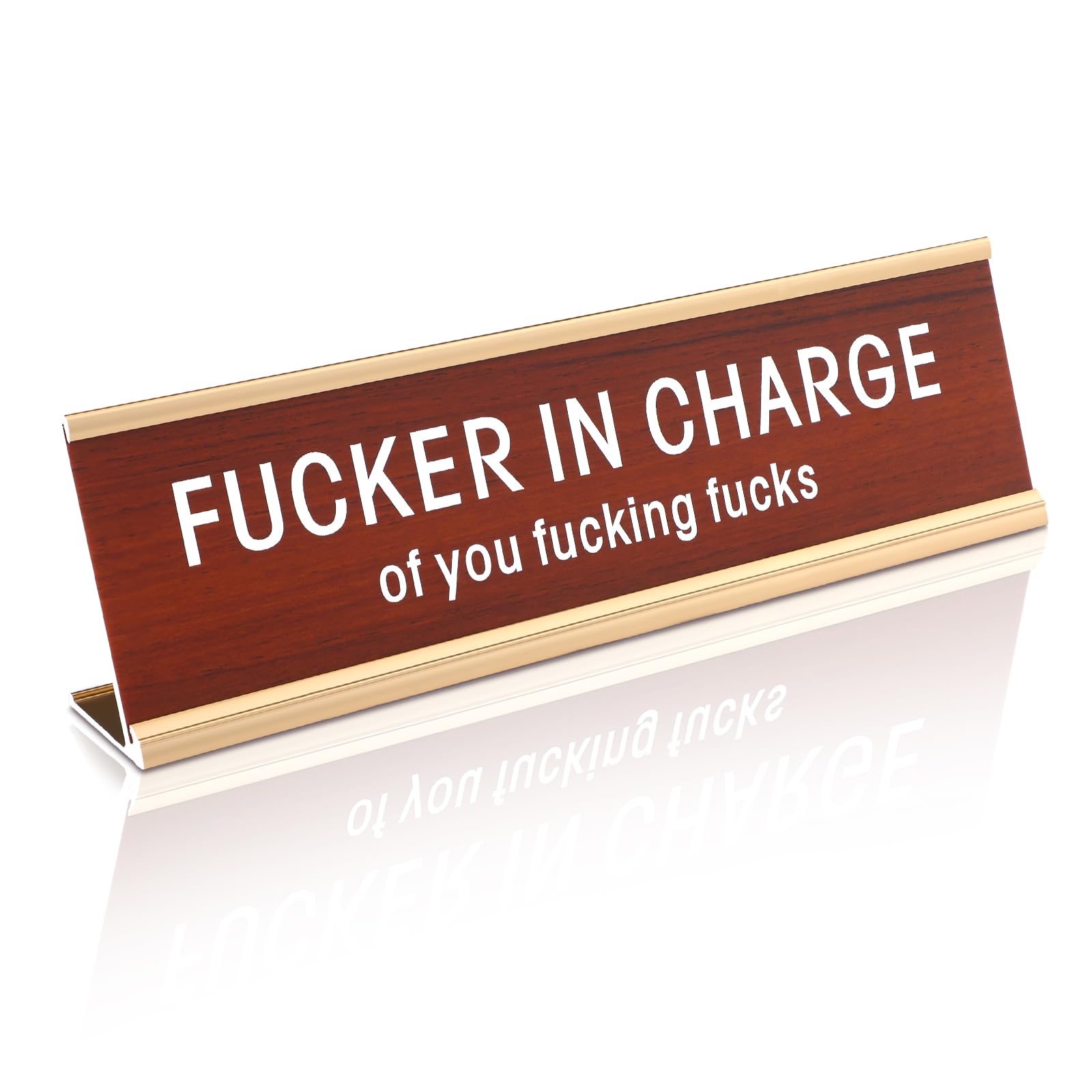 Weysat Funny Office Desk Sign - Fucker in Charge Funny Office Decor