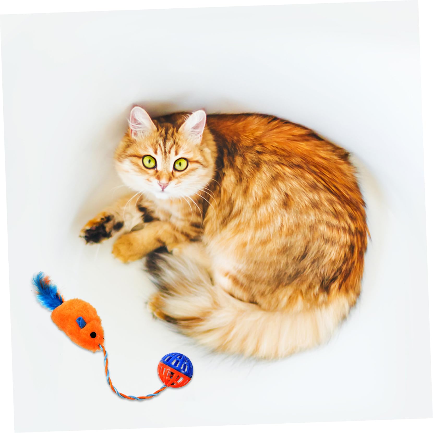 Jouet Interactif Soulagement de L'ennui pour Chaton en Peluche et Plastique avec Clochette, Jouet Compact et Résistance aux Morsures pour Intérieur