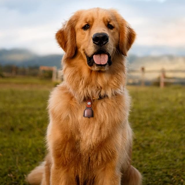 Foto 5 de 8 de DONGKER Cencerro para perro, rastreador de ruidos de bronce para mascotas
