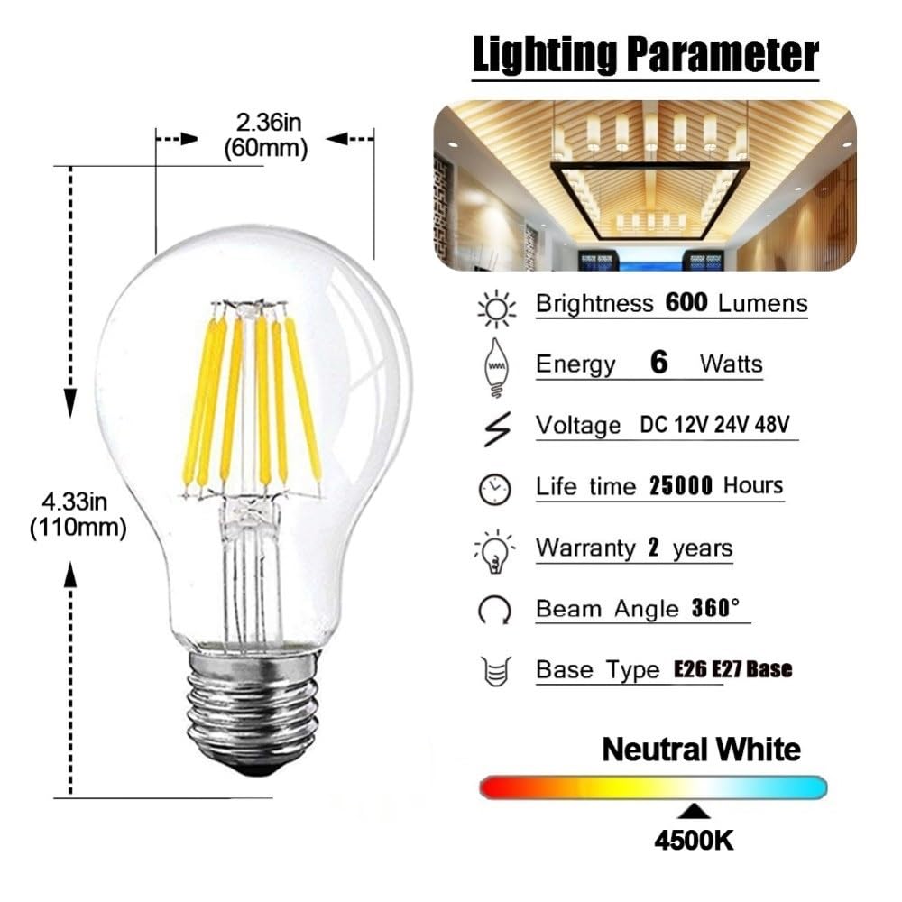 RZL LED Lights Bassa tensione 6W Edison Globe Bulbi, 12V a 24V DC ha condotto la lampada A19 filamento della lampadina Daylight Bianco 4500K bianco caldo 2700K E26 E27 (10 pezzi)