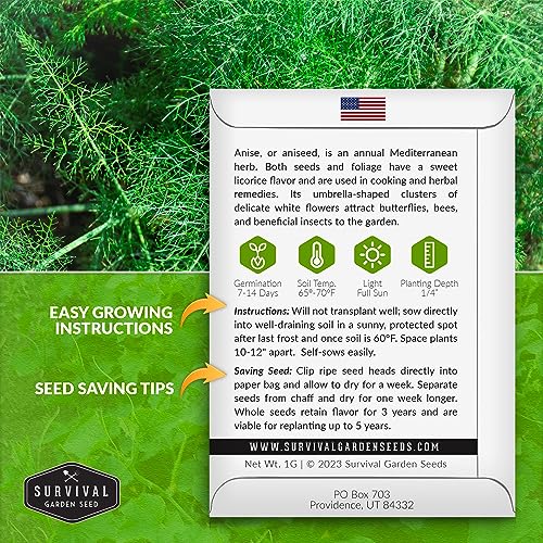 1 Pack Anise Seed for Planting with Instructions to Grow Aniseed in Your Home Herb Garden - Non-GMO Heirloom - Medicinal and Culinary - Unique Plant Seeds - Survival Garden Seeds
