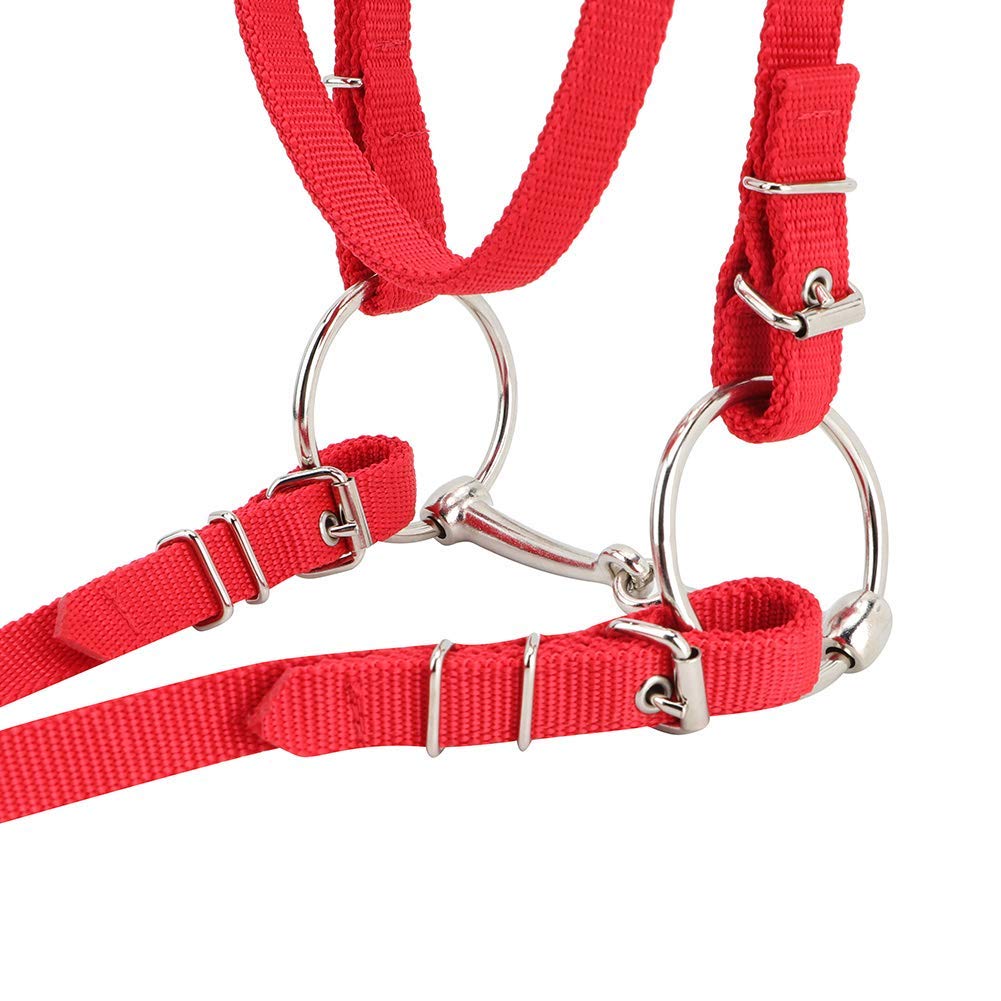 Cyrank Briglia per Cavallo, Briglia per Cavallo Rimovibile Rossa Regolabile Imbracatura per Redini Testiera per Cavallo Accessori Equestri per Cavallo con Morbido Cuscino