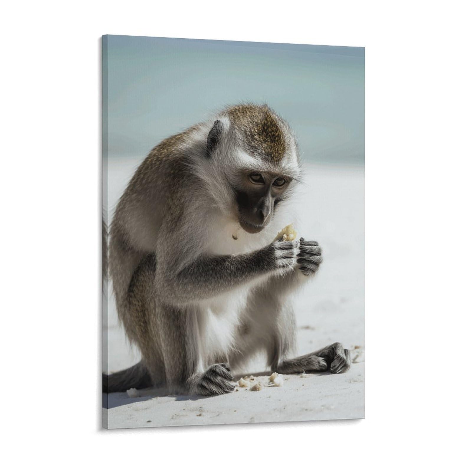 Monkey on The Ground Canvas Wall Art for Bedroom 12x16inch Canvas Prints Artwork for Walls Modern Picture Artwork Painting for Living Room Aesthetic Wall Paintings for Bathroom Kitchen Office
