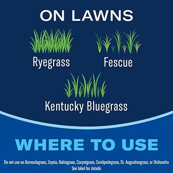 BioAdvanced All-in-One Lawn Weed & Crabgrass Killer Concentrate - 32 oz