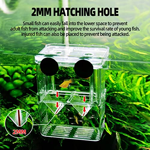 Image of Boxtech Aquarium Fish Tank Hatchery Incubator Breeding Box, Acrylic White Breeder Isolation Divider Hatching Boxes Accessory Small Baby Fishes Shrimp Clownfish Guppy (Pack of 2)