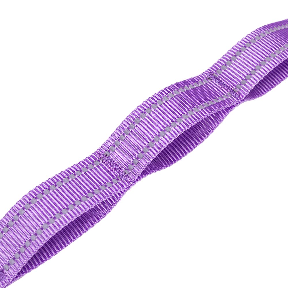 EXCELLENT ELITE SPANKER Laisse double réfléchissante pour chien - 1,5 m - Avec poignée rembourrée - Pour promener deux chiens - Violet
