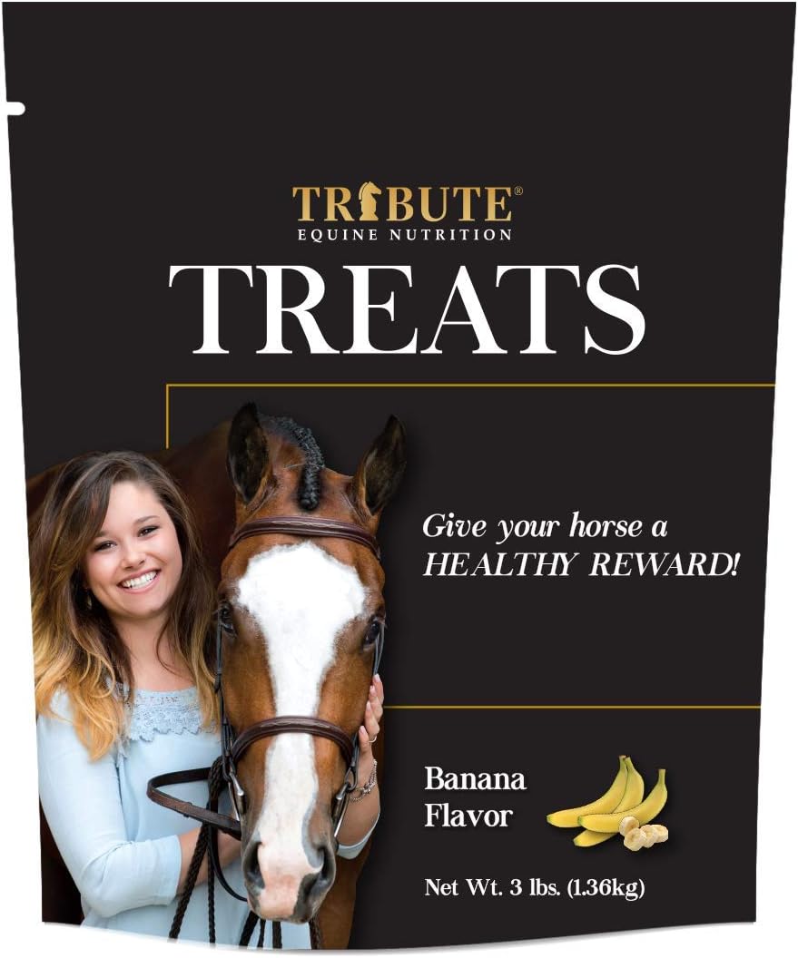Kalmbach Feeds Since 1963 Tribute Treats, Cube, 3 lb, Banana Flavor for Horses, Bag