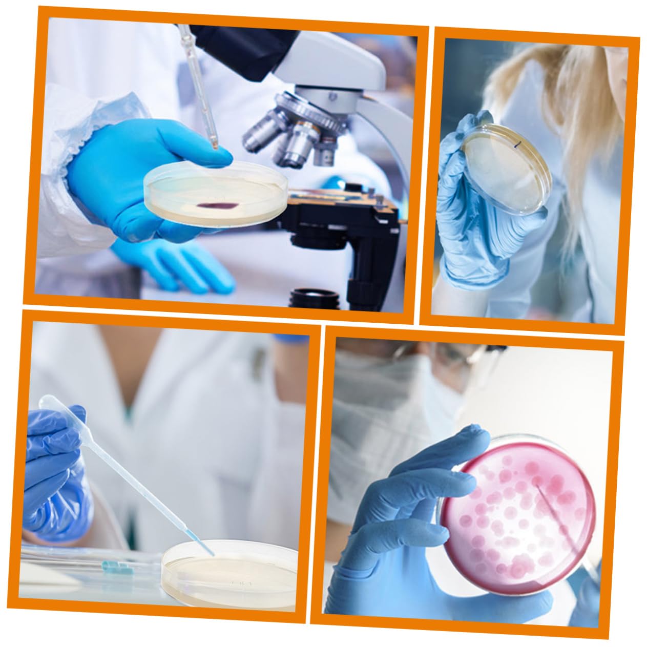 VILLFUL 20 Pcs Nutrient Agar Plate Lab Petri Dishes Agar Dishes for Mushrooms Prepoured Petri Plates Laboratory Supplies Petri Dish Pre- Poured Dishes Petri Dish with Lid