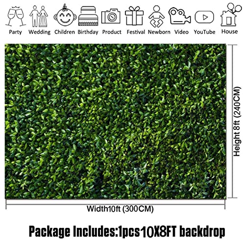 Fondo fotográfico HQM hojas verdes 10X8 FT miniatura 5